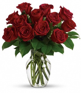 One Dozen Red Roses