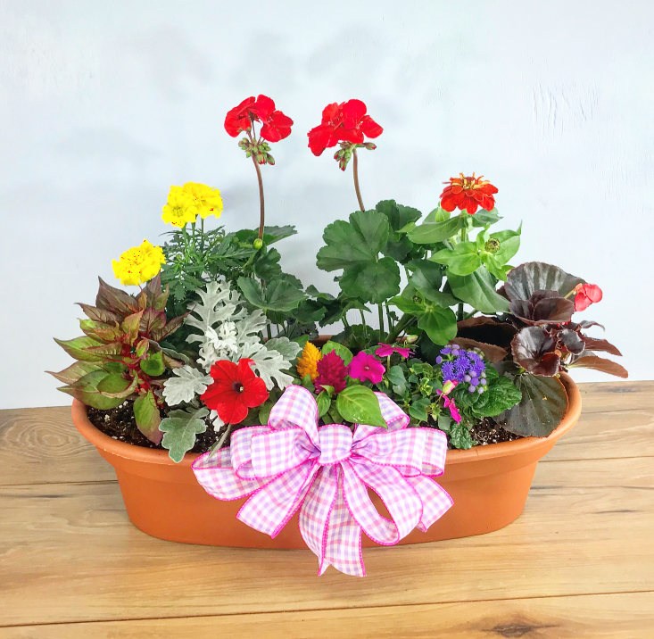 Sunshine Trellis Planter