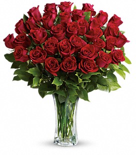 Three Dozen Red Roses
