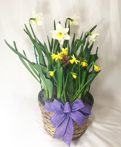 Paw Prints Trellis Planter