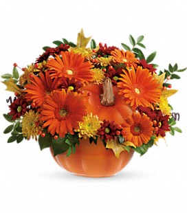 Teleflora's Country Pumpkin -Premium