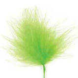 Lime Feather