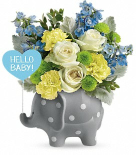 Teleflora's Hello Sweet Baby - Blue - Standard