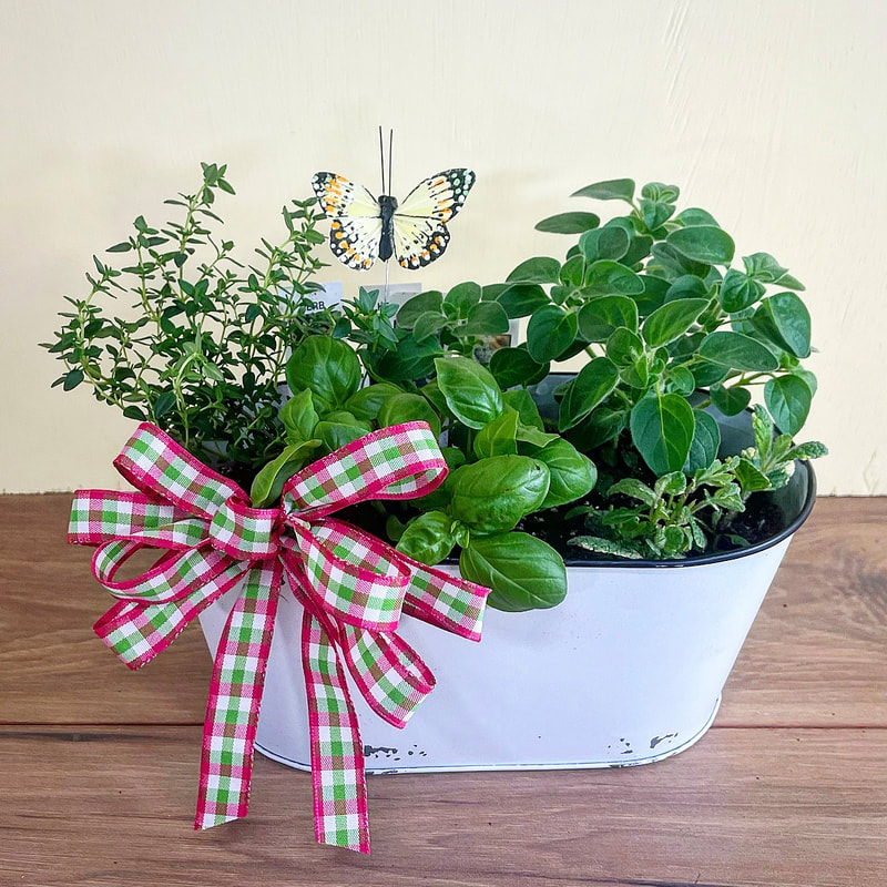 Paw Prints Trellis Planter
