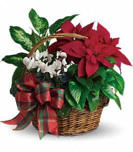 Holiday Homecoming Basket - Standard