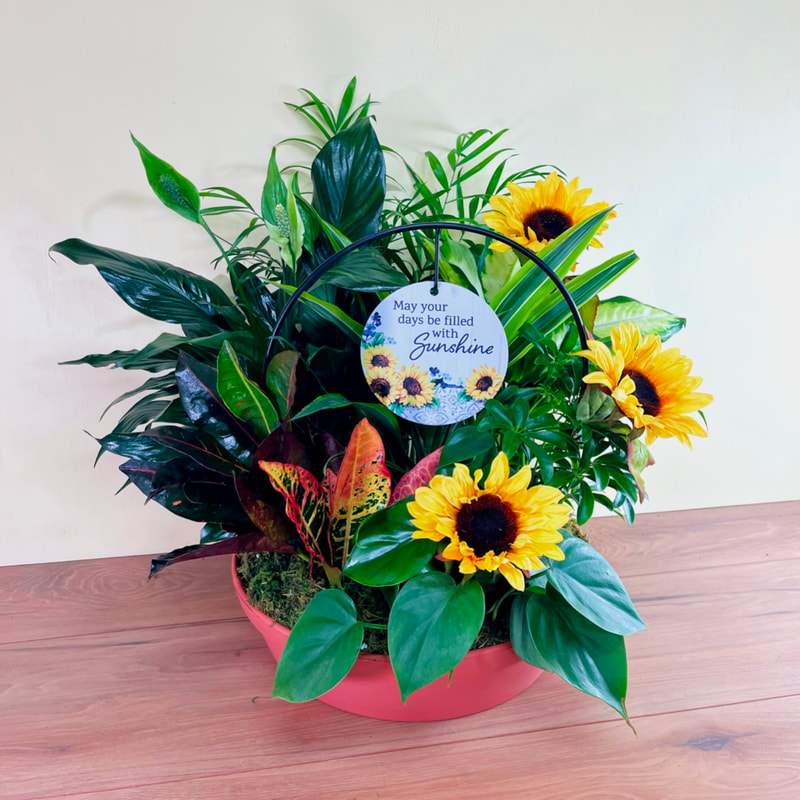 May you days be filled with sunshine Trellis