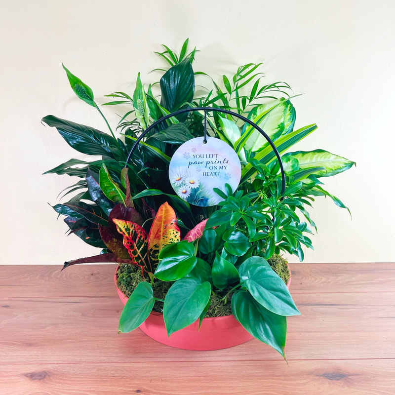 You left paw prints on my heart plant trellis