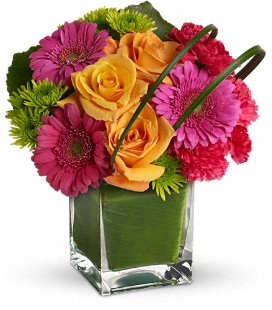 Teleflora's Party Girl - Standard
