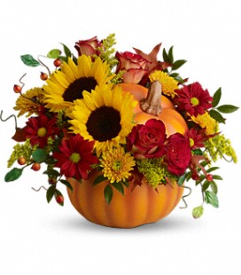 Pretty Pumpkin - Deluxe
