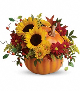 Pretty Pumpkin - Standard