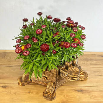 Handcrafted Wooden Ladybug Planter