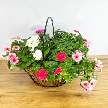 Welcome Spring Planter
