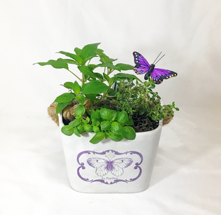 Butterfly Herb Garden