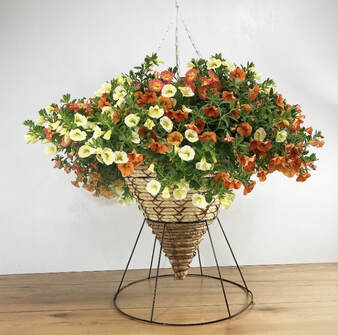 Hanging Cone Basket