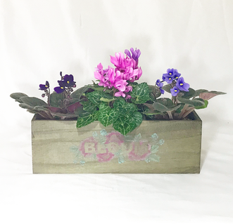 Triple Bloom Box