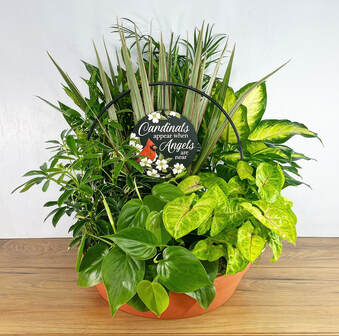 Cardinal Trellis Planter