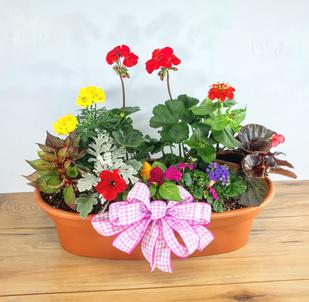 2020 Oval Terra Cotta Patio Pot