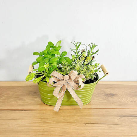Rustic Herb Garden