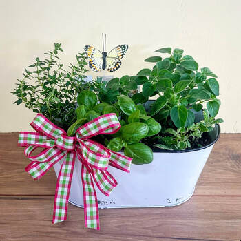 Rustic Herb Garden