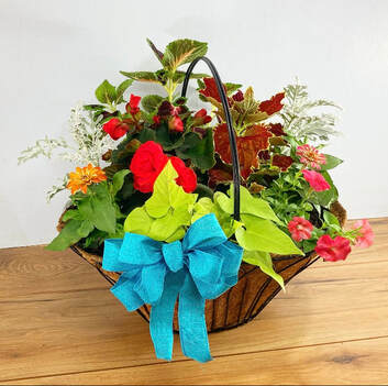 Welcome Spring Planter