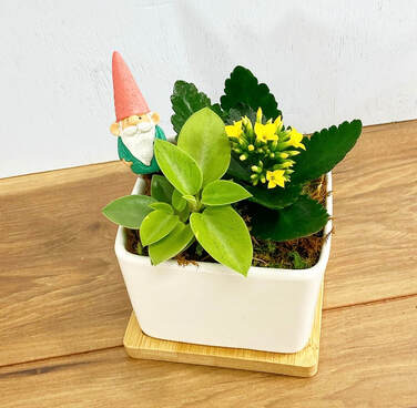 Miniature Gnome Garden
