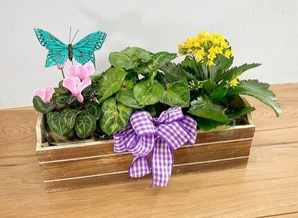 Triple Plant Basket