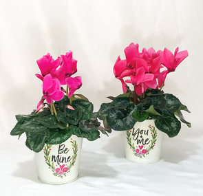 Valentine's Heart Planter