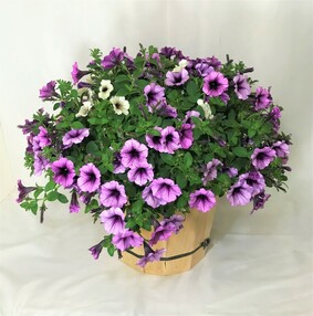 Rustic Wooden Planter