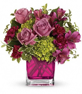 Splendid Surprise - Standard