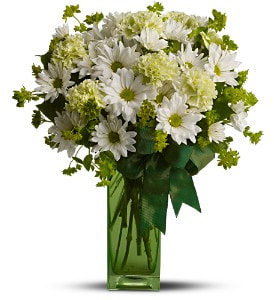 St. Patrick's Day-zies by Teleflora - Standard