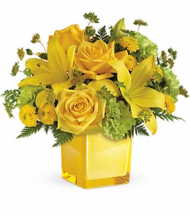 Teleflora's Sunny Mood Bouquet - Standard