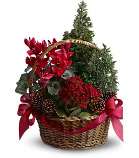 Tannenbaum Basket- Standard
