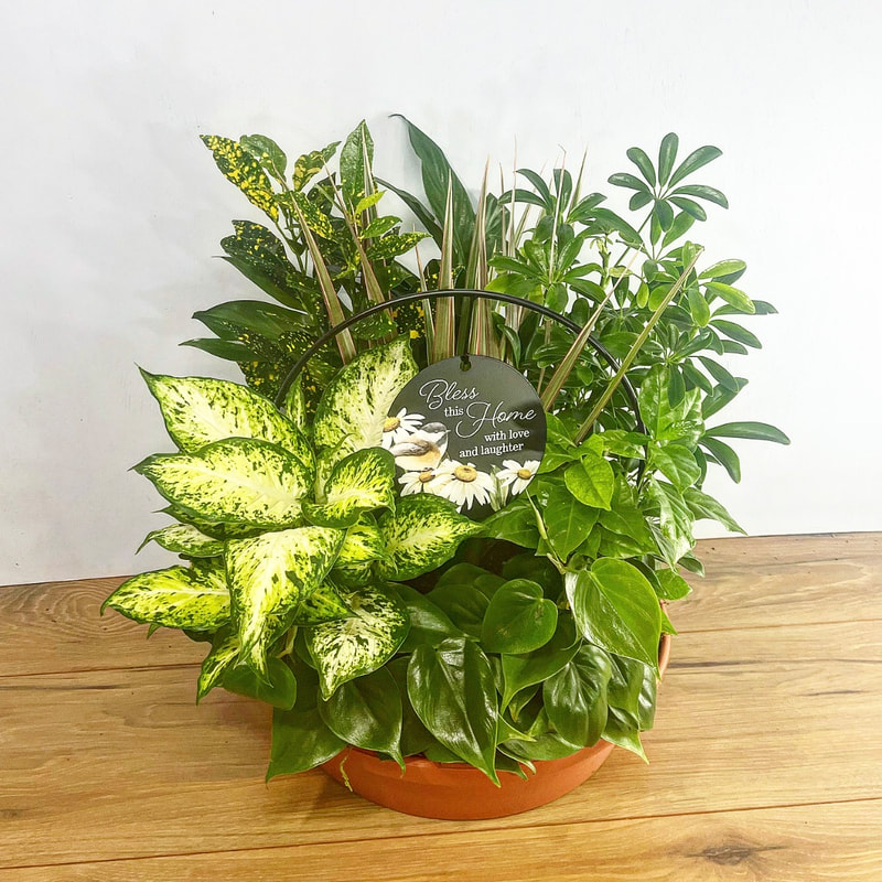 Bless this home Trellis