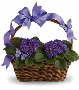 Violets and Butterflies Basket