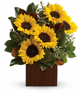 You're Golden Bouquet by Teleflora - Standard